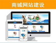 商城網(wǎng)站建設有哪些功能？