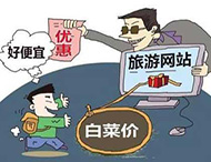 農村旅游網(wǎng)站建設及用戶(hù)體驗度的提高？