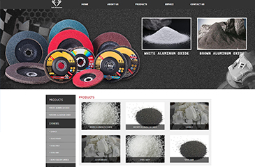 企業(yè)展示網(wǎng)站建設